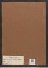 Navicula arctica Cleve (de-Toni-Nr.: Genus 1, Species 358) Zeichnungen Sammlung Grunow Mappe 00317 (Herbarium_W_Grunow_drawings_Folder_00317)